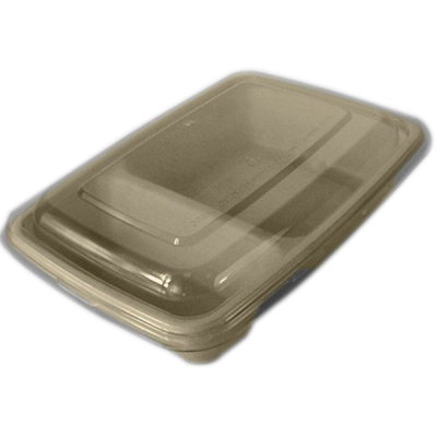 Rectangular reed pulp container two part with plastic cover 750 ml